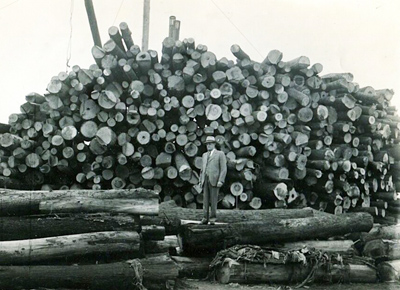 My grandfather in 1938, at his mill site in Earle, Arkansas.